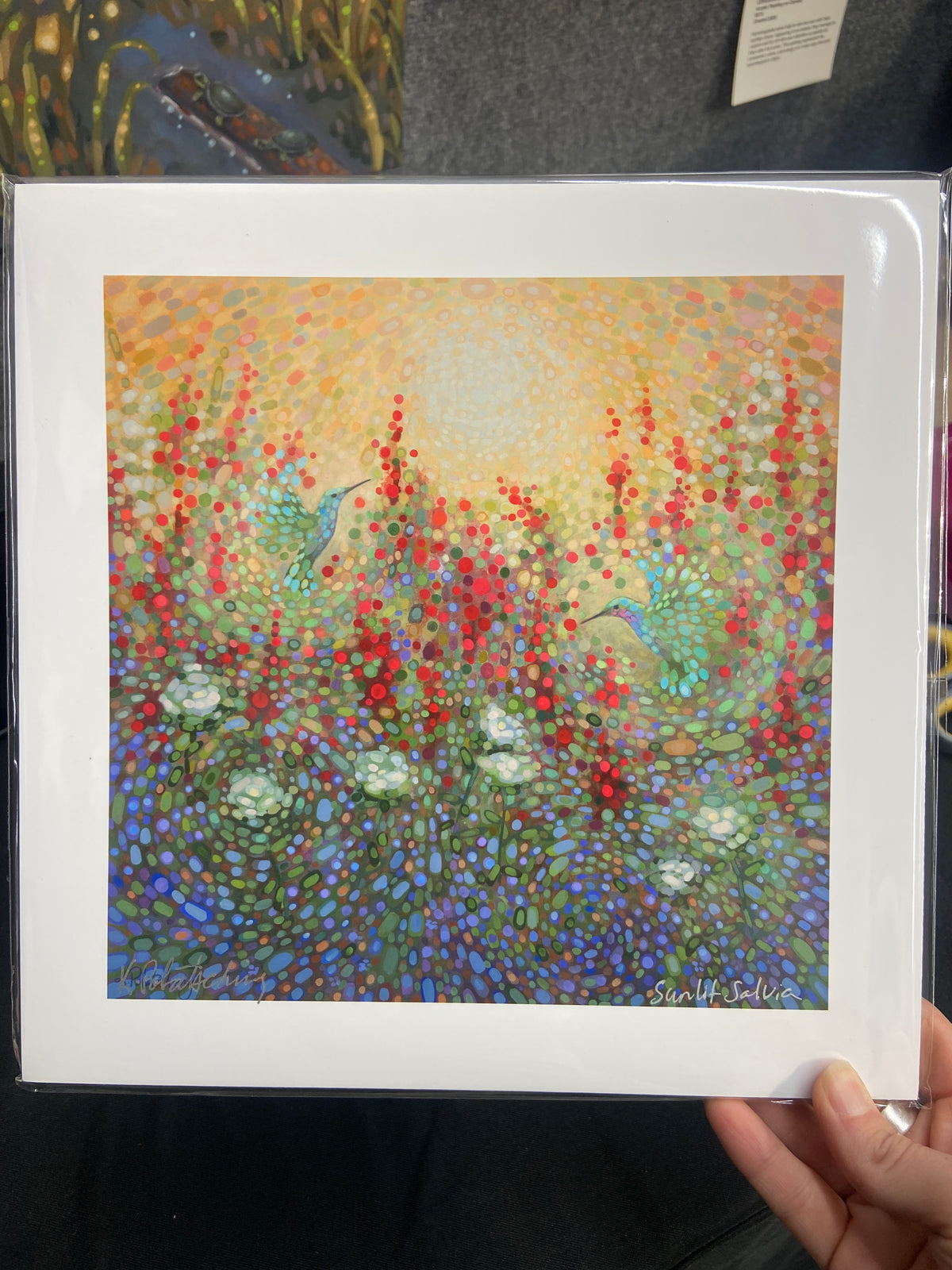 Sunlit Salvia - 8"x8" Fine Art Print