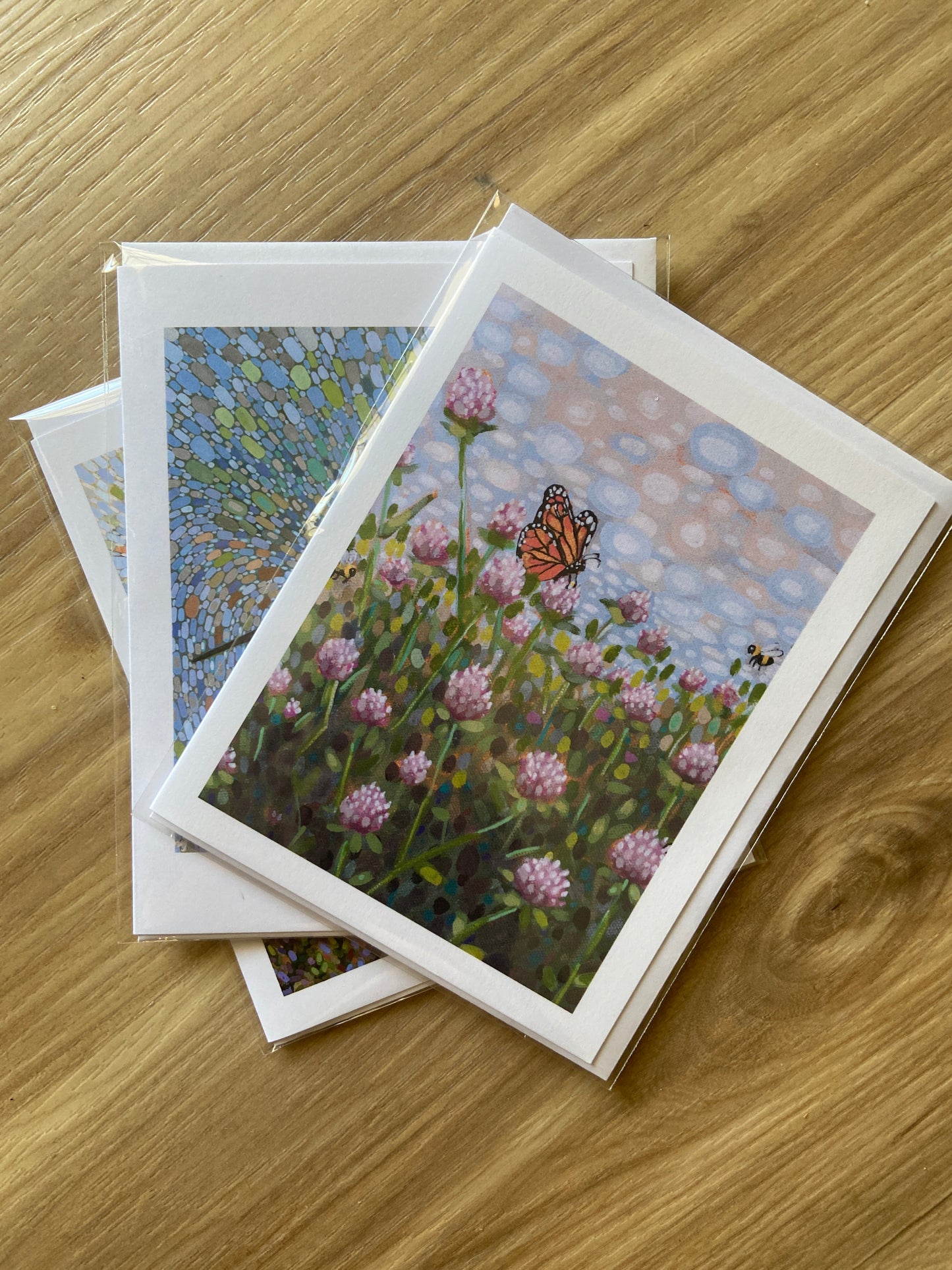 "Running Start" Loon Note Cards