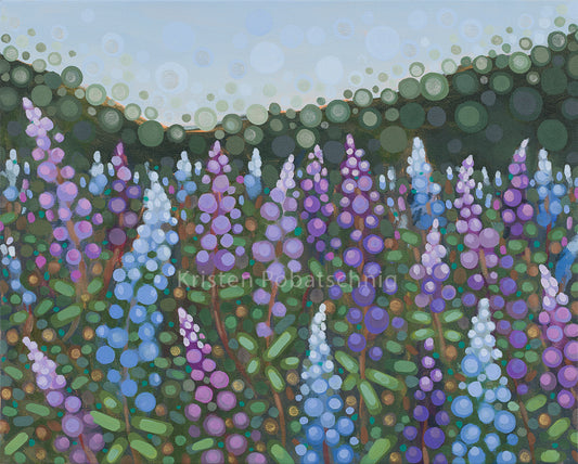 Lupines - Canvas Print