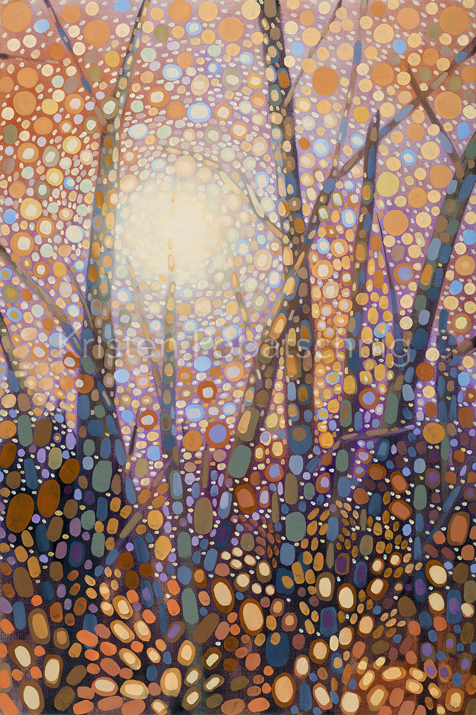 November Glow/Golden Light