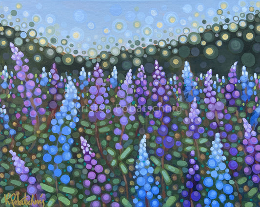 Lupines