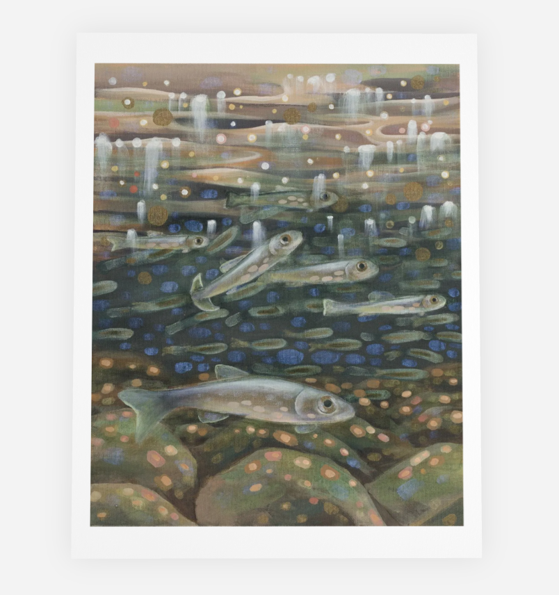 "Catching Minnows" Note Cards