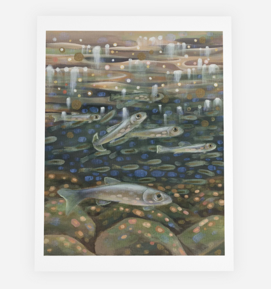 "Catching Minnows" Note Cards